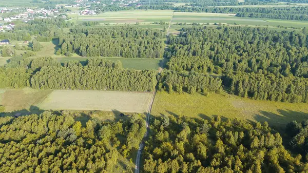 Orman arazisi tarlalarla çevrili.