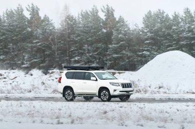 Çatı depolama kutusu olan araba doğada seyahat ediyor.
