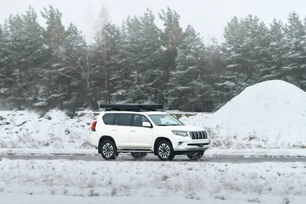 Çatı depolama kutusu olan araba doğada seyahat ediyor.