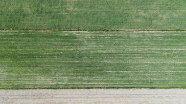 Havadan bakıldığında tarlalarda yetişen ekinler