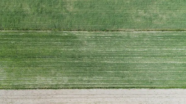Havadan bakıldığında tarlalarda yetişen ekinler