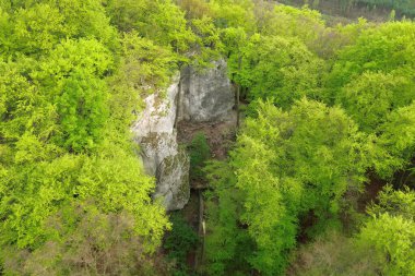 Vahşi ormanda kayalık bir çıkıntı.