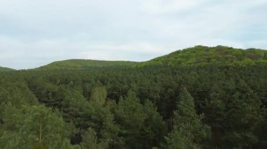 Bahar yapraklarıyla kaplı tepe ormanları