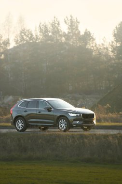 Aile arabası kırsal kesimde otoyolda gidiyor.