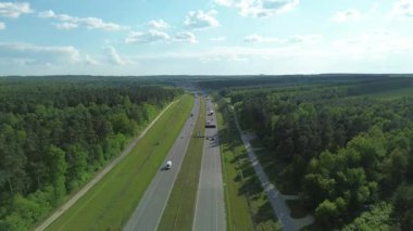 Yeşil ağaçların arasında güneşli kırsal yol