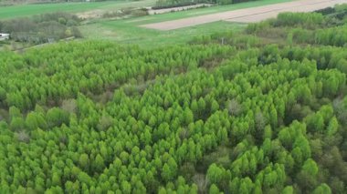 Bereketli bahar ağaçları ve tarım manzarası