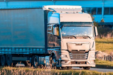 Kargo kamyonu otoyolda ilerliyor.