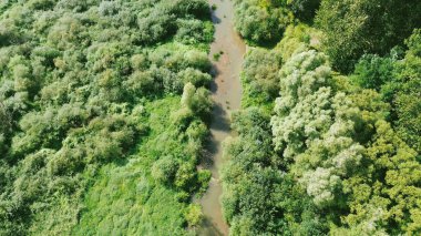 Nehir yemyeşil orman manzarası boyunca ilerliyor.