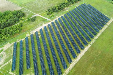 Yeşil çimenli çevre güneş çiftliği