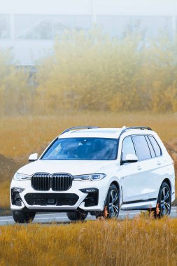 Yeşillik ormanın yakınındaki asfalt yolda bir cip.