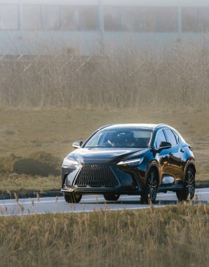 Ormandan geçen dört kapılı lüks bir SUV.