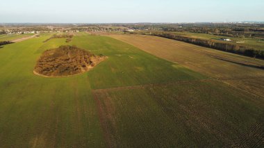 Kırsal çevrede vahşi hayvanlar