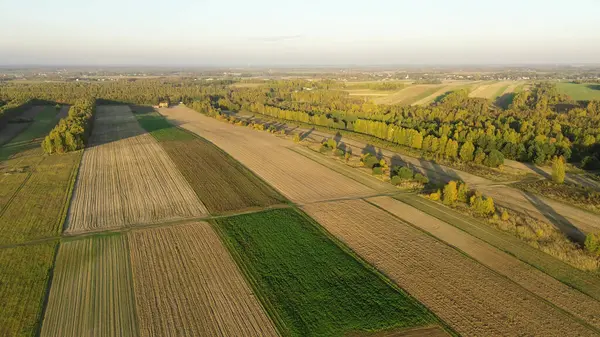 Renkli yapraklı kırsal alan