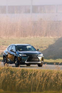 Modern elektrikli cip kırsalda süzülüyor.