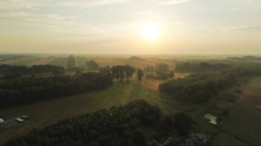 Güneş ışınları sisli ormanı delip geçiyor.