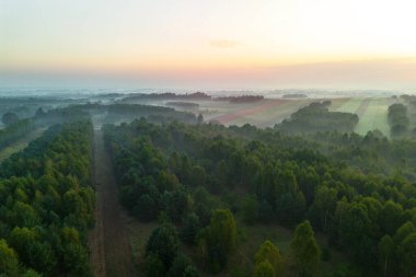 Şafak sisi tarlaları ve orman vadilerini kaplıyor