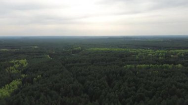 Yeşil orman arazisinin havadan çekilmiş fotoğrafı