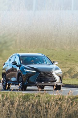 Çimenli yol kenarında birinci sınıf lüks araç kullanma