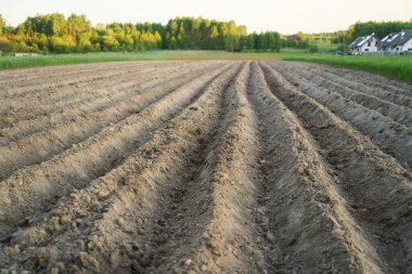Mevsimlik arazi hazırlığı altında kırsal alan