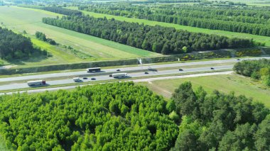 Yeşil ağaçların arasında güneşli kırsal yol