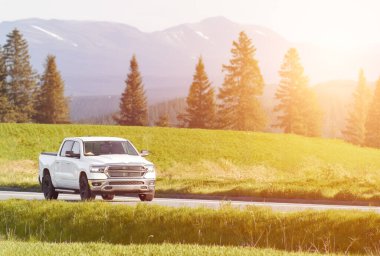 Ekip kamyonu yeşil alanda ilerliyor.