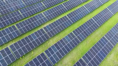 Yeşil çim tarlaları olan büyük güneş çiftliği