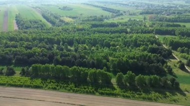 İlkbahar kırsal kesimde insansız hava aracı görüntüsü