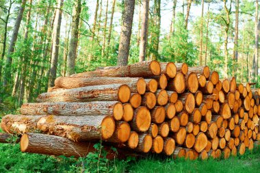 Marangozluk malzemeleri için istiflenmiş kahverengi kütükler