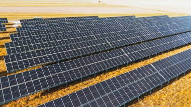 Günışığında birden fazla güneş paneli olan yenilenebilir enerji çiftliği