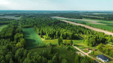 Kırsal alanda ilkbahar ağaçları