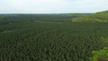 Bahar yapraklarıyla kaplı tepe ormanları