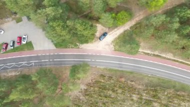 Yoğun yeşil ormanlık alanda dolambaçlı yol