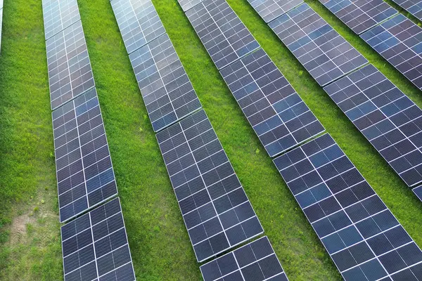 Yenilenebilir güneş panelleri çimenlerin üzerine yayıldı