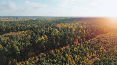 renkli Sonbahar Orman Manzara havadan görünümü