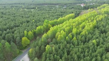 Yeşil çevrede sakin kırsal otoyol