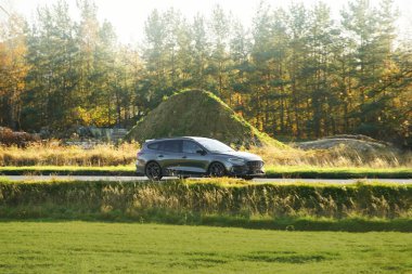 Aile arabası güneşli kırsal yolda.