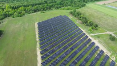 Ormanla çevrili modern yeşil evler