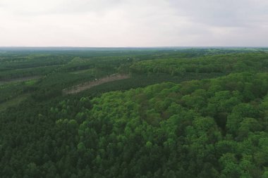 Gökyüzünden görünen manzaralı dağ ormanları