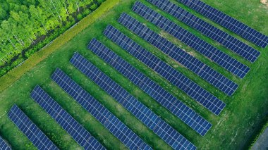 Güneş ışığını yakalıyor, güneş panelleri canlı yeşil bir alana yayılıyor.