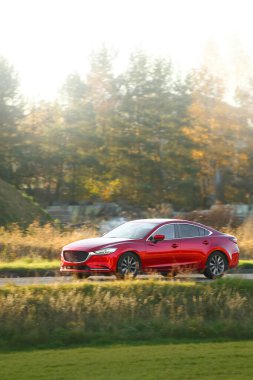 Sonbahar yolunda giden kırmızı spor bir sedan.