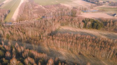 İlk bahar ormanlarının insansız hava aracı görüntüleri.