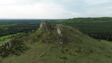 Yeşil orman manzarasında kayalık patika