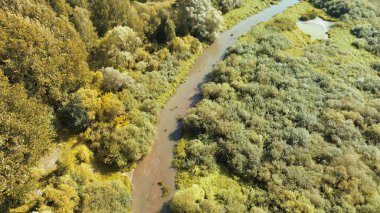 Bereketli orman tepe örtüsünün ortasında sakin bir nehir.