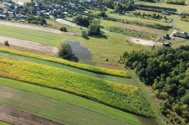 Tarlaların ve selden etkilenen alanların havadan görünüşü