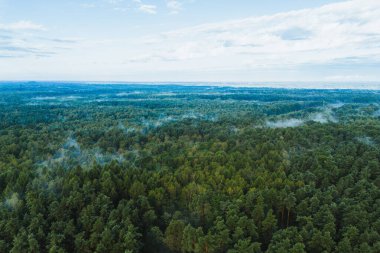 Güneşin doğuşu sisli tarlaları ve dağ yamaçlarını aydınlatıyor.