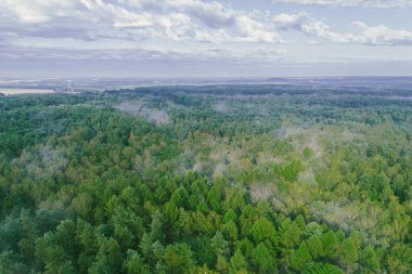 Güneşin doğuşunda sisli sonbahar ormanlarının ve tarım arazilerinin insansız hava aracı görüntüsü