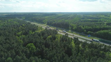 Güneşli havada ormanın içinden geçen yol.