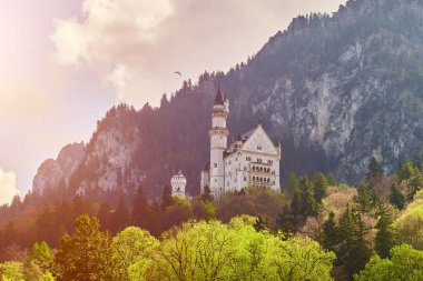 Bavyera 'da Gotik tarzı bir saray