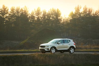 Asfalt yoldaki araba sonbahar yapraklarıyla çevrili.