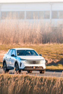 Temiz enerji otomobili manzaralı kır otoyolu sürüyor